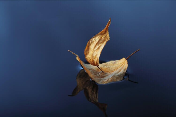 1:1 Non-dual Guidance|Private Sessions