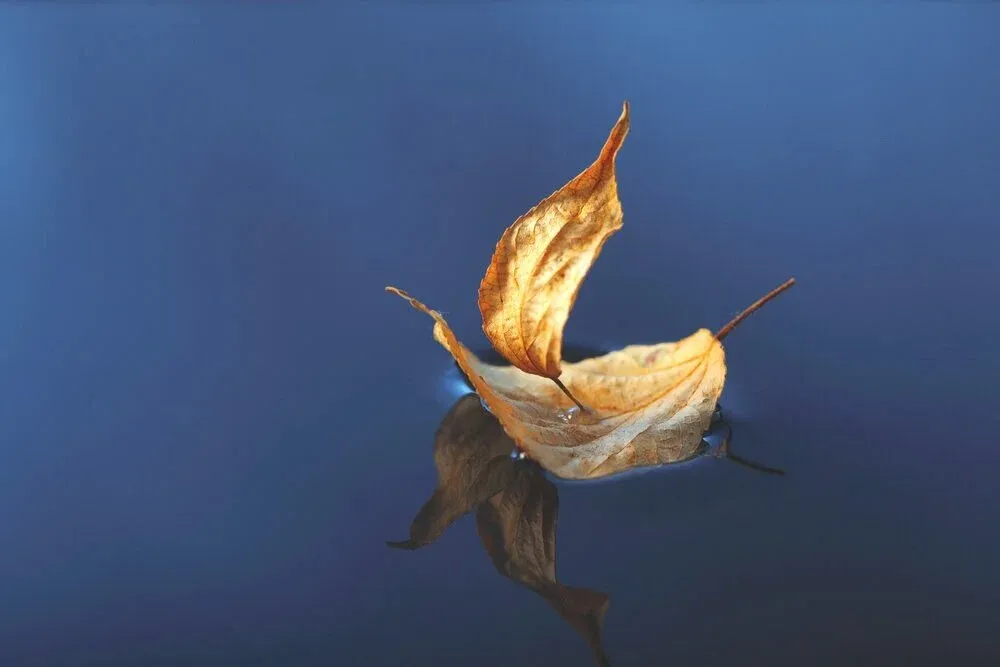 Are My Thoughts Mine?