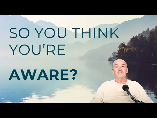 What Is Awareness?